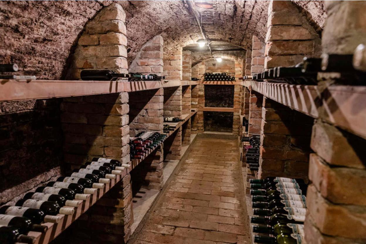 Cabernet * Velke Pavlovice